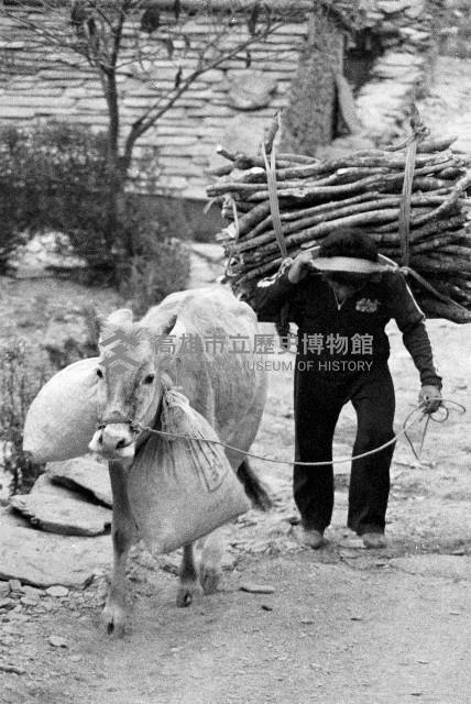 原住民生活-1藏品圖，第1張