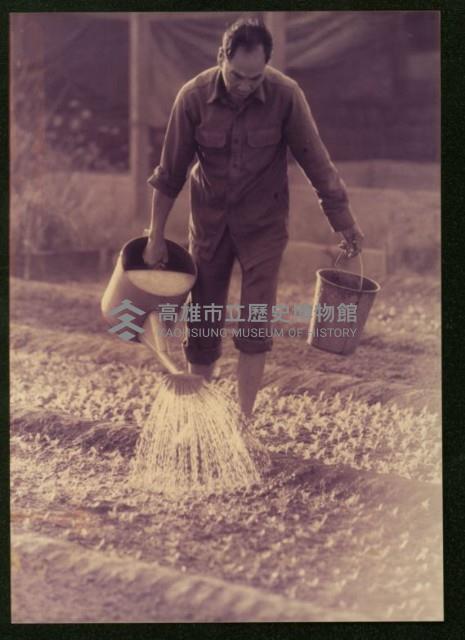 萬應公廟前的菜園-1藏品圖，第1張