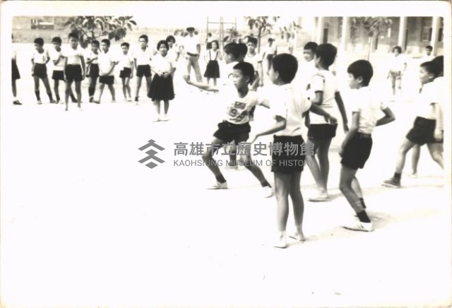 躲避球運動-2藏品圖，第1張