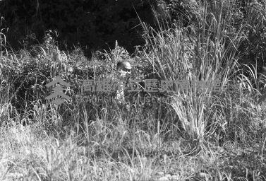 登錄號:KH2006.014.0489藏品圖，第1張