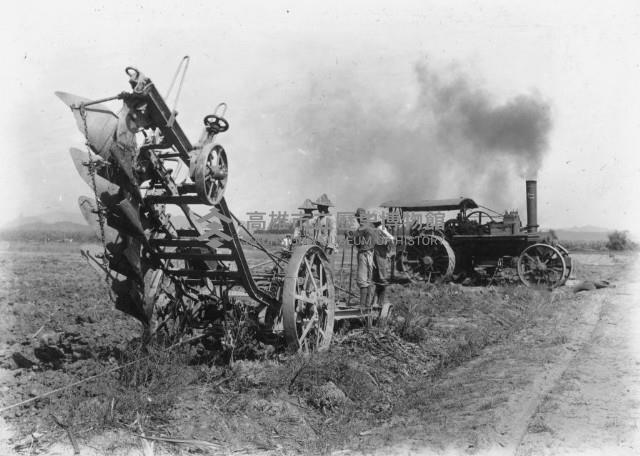 臺灣製糖株式會社橋仔頭製糖所農場藏品圖，第1張