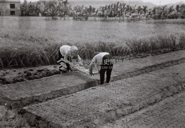 登錄號:KH2015.003.0039藏品圖，第1張