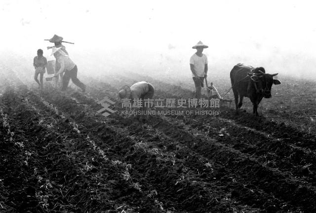 犁田藏品圖，第1張