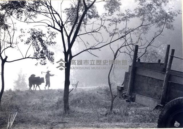 登錄號:KH2006.014.0493藏品圖，第1張