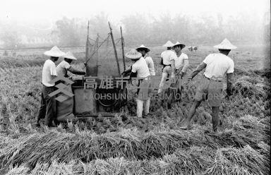 登錄號:KH2006.014.0193藏品圖，第1張