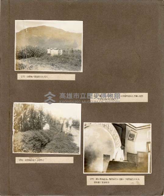 登錄號:KH2003.008.0186藏品圖，第5張