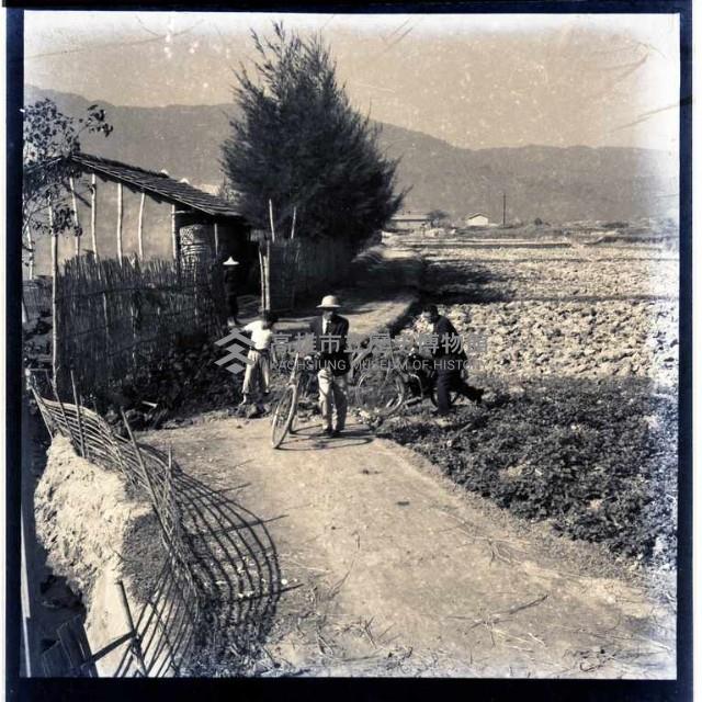 左營通往高雄市區的小路）藏品圖，第1張