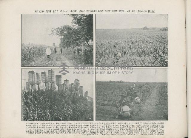 登錄號:KH2003.008.0176藏品圖，第26張