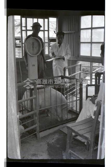 登錄號:KH2002.016.0074藏品圖，第26張