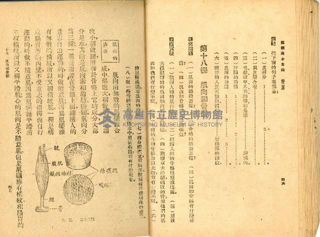 《高級小學 自然課本 第二冊》藏品圖，第28張