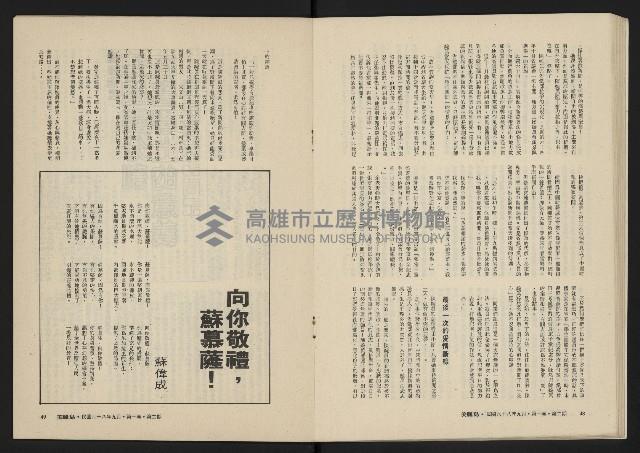 《美麗島NO.2》藏品圖，第26張