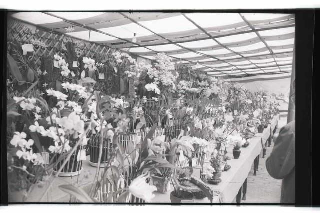 登錄號:KH2002.012.0343藏品圖，第26張