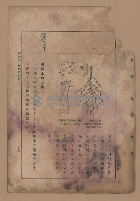 《補習學校農業教科書土壤肥料篇》藏品圖，第86張