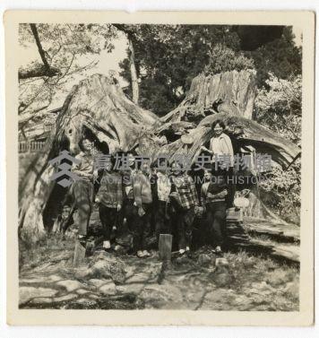 登錄號:KH2006.028.0008藏品圖，第166張