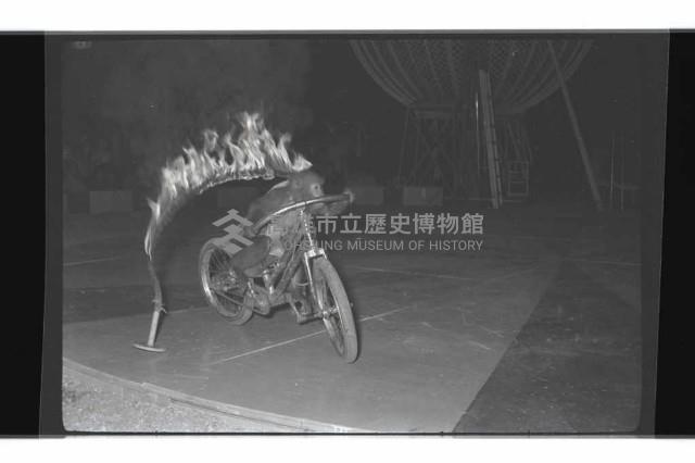 登錄號:KH2002.017.0161藏品圖，第66張