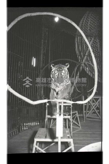 登錄號:KH2002.017.0161藏品圖，第46張