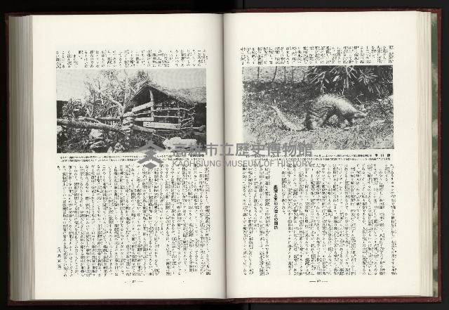 《日本地理風俗大系-  第十五卷 臺灣篇》藏品圖，第46張