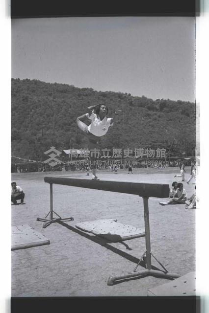 登錄號:KH2002.007.0282藏品圖，第46張