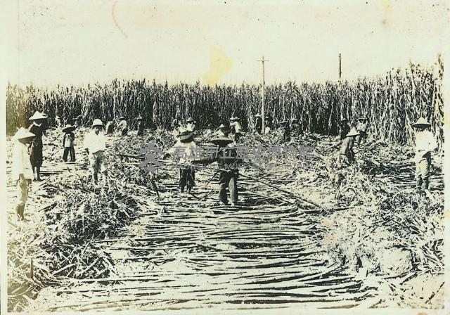 登錄號:KH2003.008.0179藏品圖，第46張