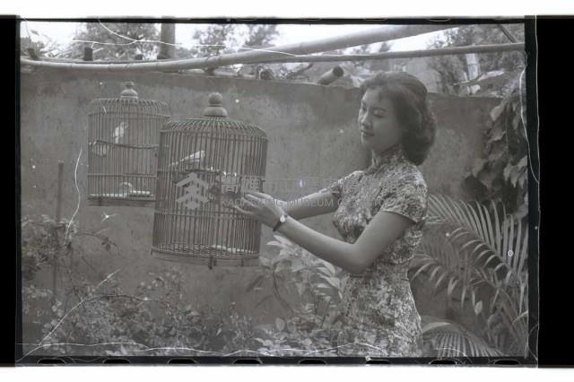 登錄號:KH2002.014.0044藏品圖，第76張