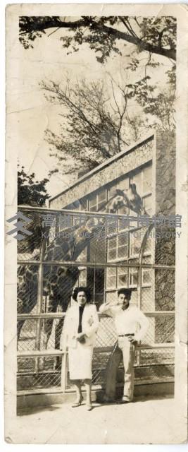 登錄號:KH2006.028.0008藏品圖，第56張