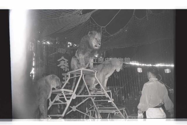 登錄號:KH2002.017.0161藏品圖，第56張