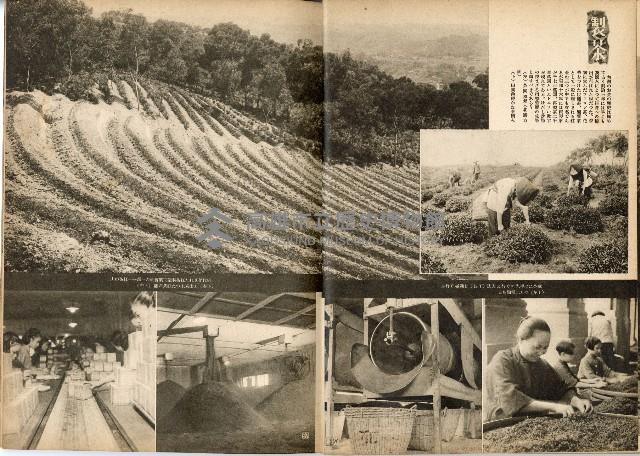 《南方の據點・臺灣寫真報道》藏品圖，第58張