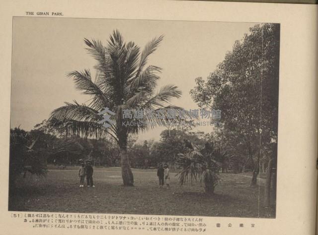 《臺灣的風光》寫真冊藏品圖，第56張