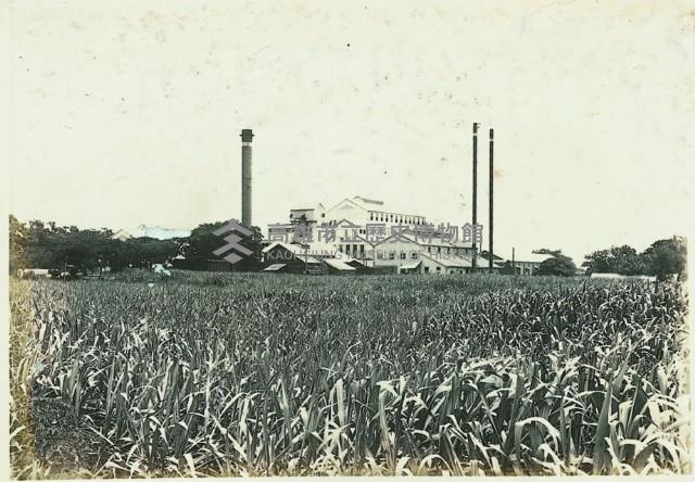 登錄號:KH2003.008.0179藏品圖，第56張