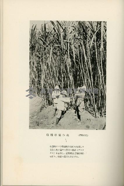 登錄號:KH2003.008.0178藏品圖，第417張