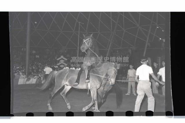 登錄號:KH2002.017.0010藏品圖，第16張