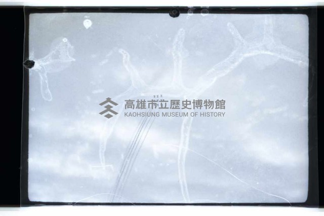 登錄號:KH2002.015.0050藏品圖，第16張