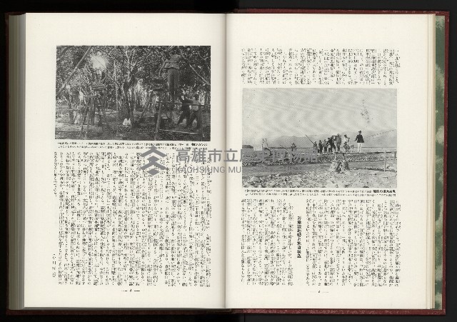 《日本地理風俗大系-  第十五卷 臺灣篇》藏品圖，第16張
