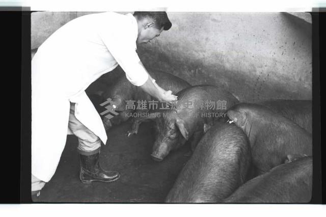 登錄號:KH2002.016.0074藏品圖，第16張