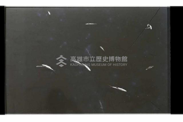 登錄號:KH2002.012.0435藏品圖，第16張