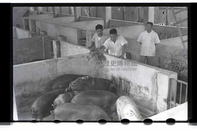 登錄號:KH2002.012.0069藏品圖，第16張