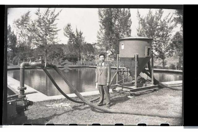 登錄號:KH2002.010.0049藏品圖，第16張