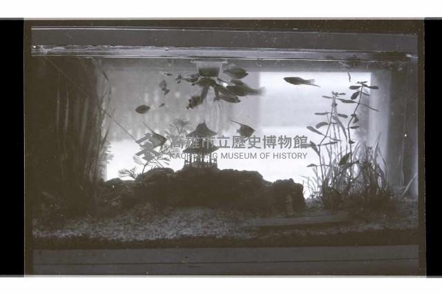 登錄號:KH2002.007.0233藏品圖，第16張