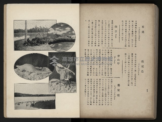 《臺灣寫真帖》藏品圖，第106張