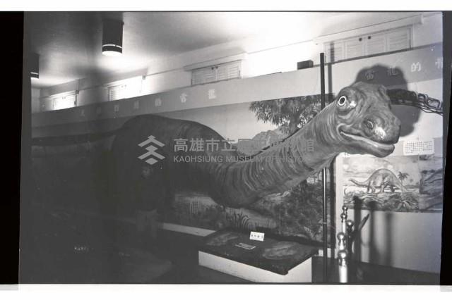 登錄號:KH2002.020.0008藏品圖，第6張