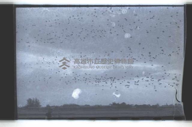 登錄號:KH2002.019.0126藏品圖，第6張