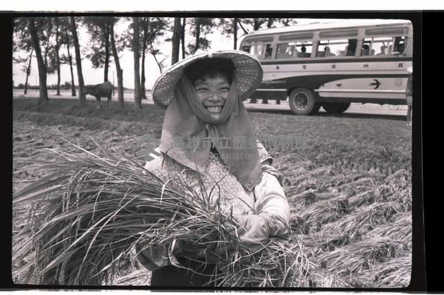 登錄號:KH2002.011.0016藏品圖，第6張