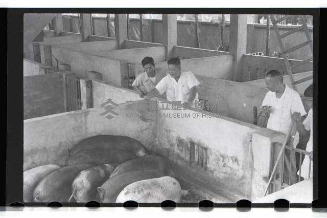 登錄號:KH2002.012.0071藏品圖，第6張