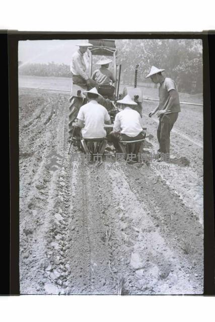 登錄號:KH2002.007.0404藏品圖，第6張