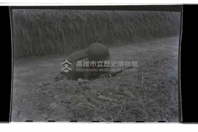 登錄號:KH2002.019.0014藏品圖，第6張