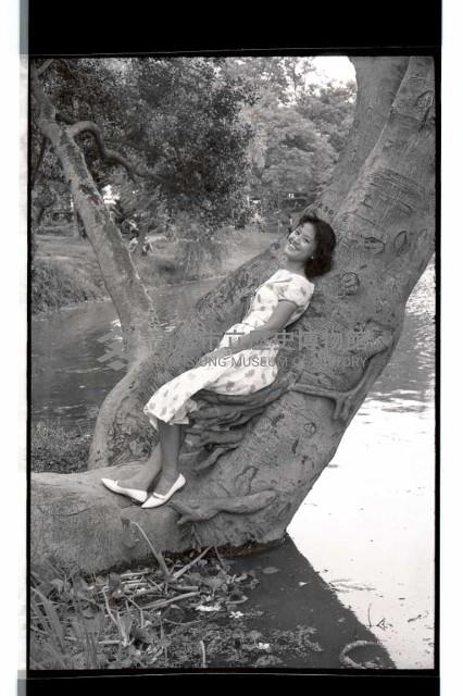 登錄號:KH2002.016.0052藏品圖，第6張