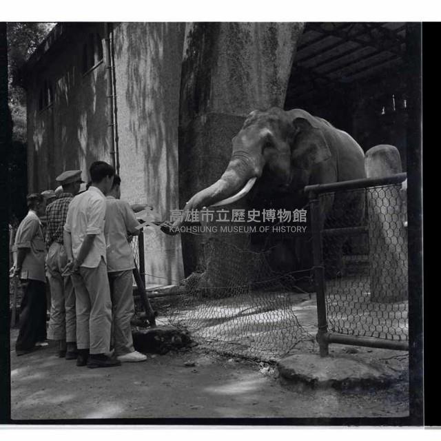 登錄號:KH2002.013.0007藏品圖，第6張