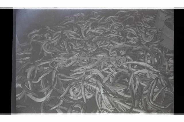 登錄號:KH2002.018.0125藏品圖，第6張