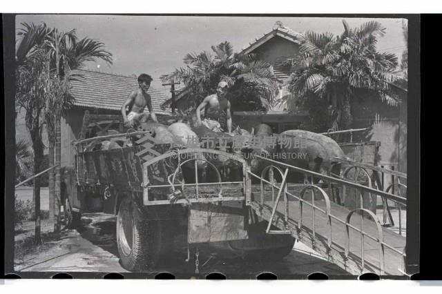 登錄號:KH2002.012.0069藏品圖，第6張