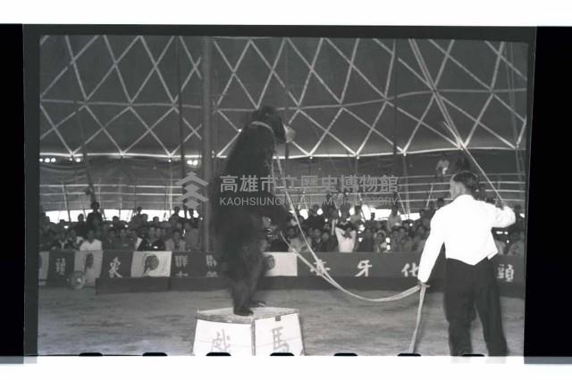 登錄號:KH2002.017.0013藏品圖，第6張